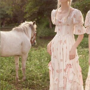 Lacemade roses smile corset dress II never worn